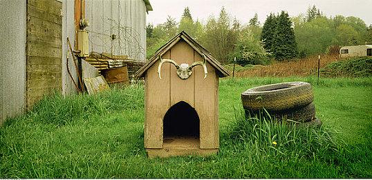 还是《命运2》重度玩家  Reddick生前玩了1400小时《命运2》